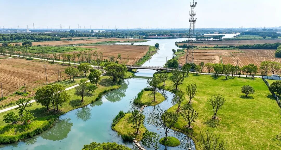 一“环”连三地！长三角水乡客厅蓝环焕新江南