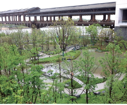 水乡客厅大V齐聚 挖掘“最江南”内核