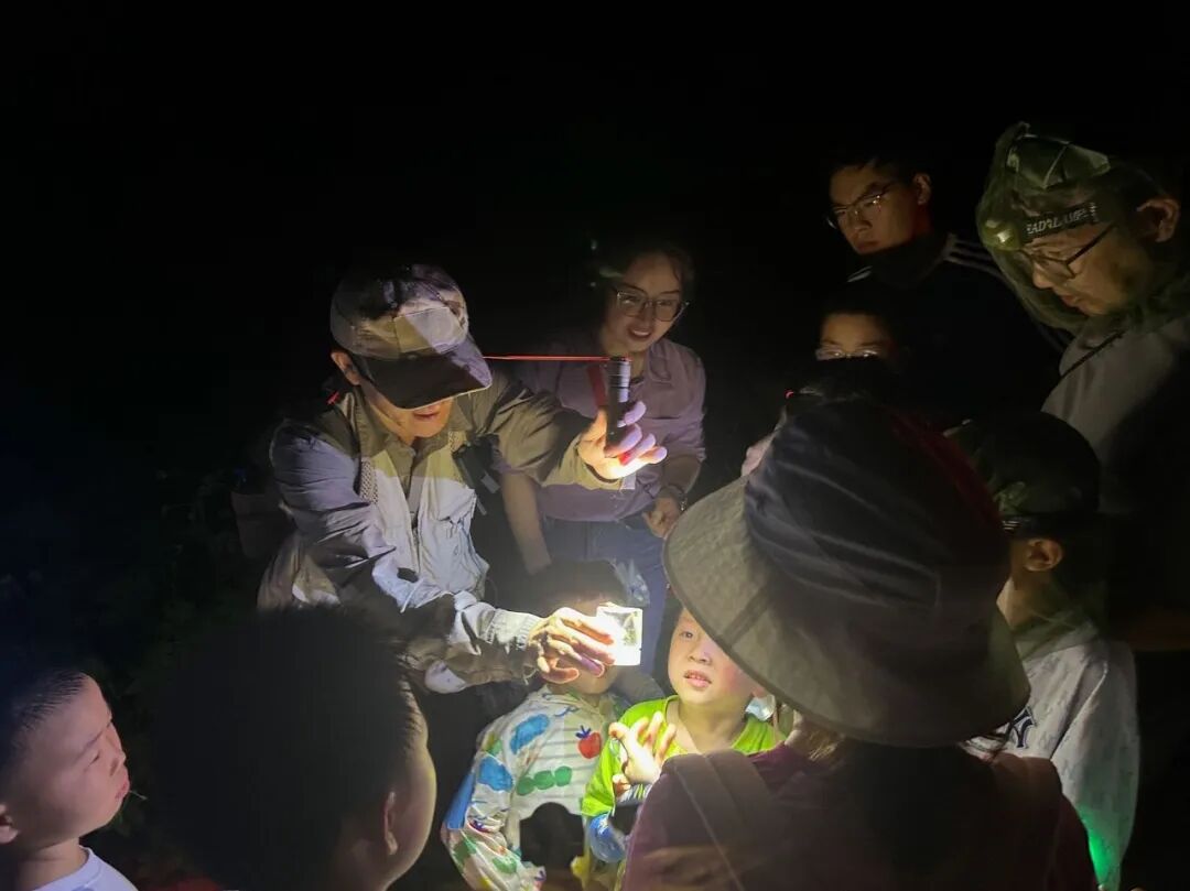 夏夜追萤！在“长三角原点”读懂江南生态密码
